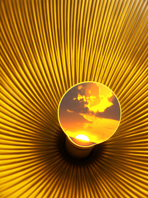 Product picture The Complete Guide To Alternative Energy